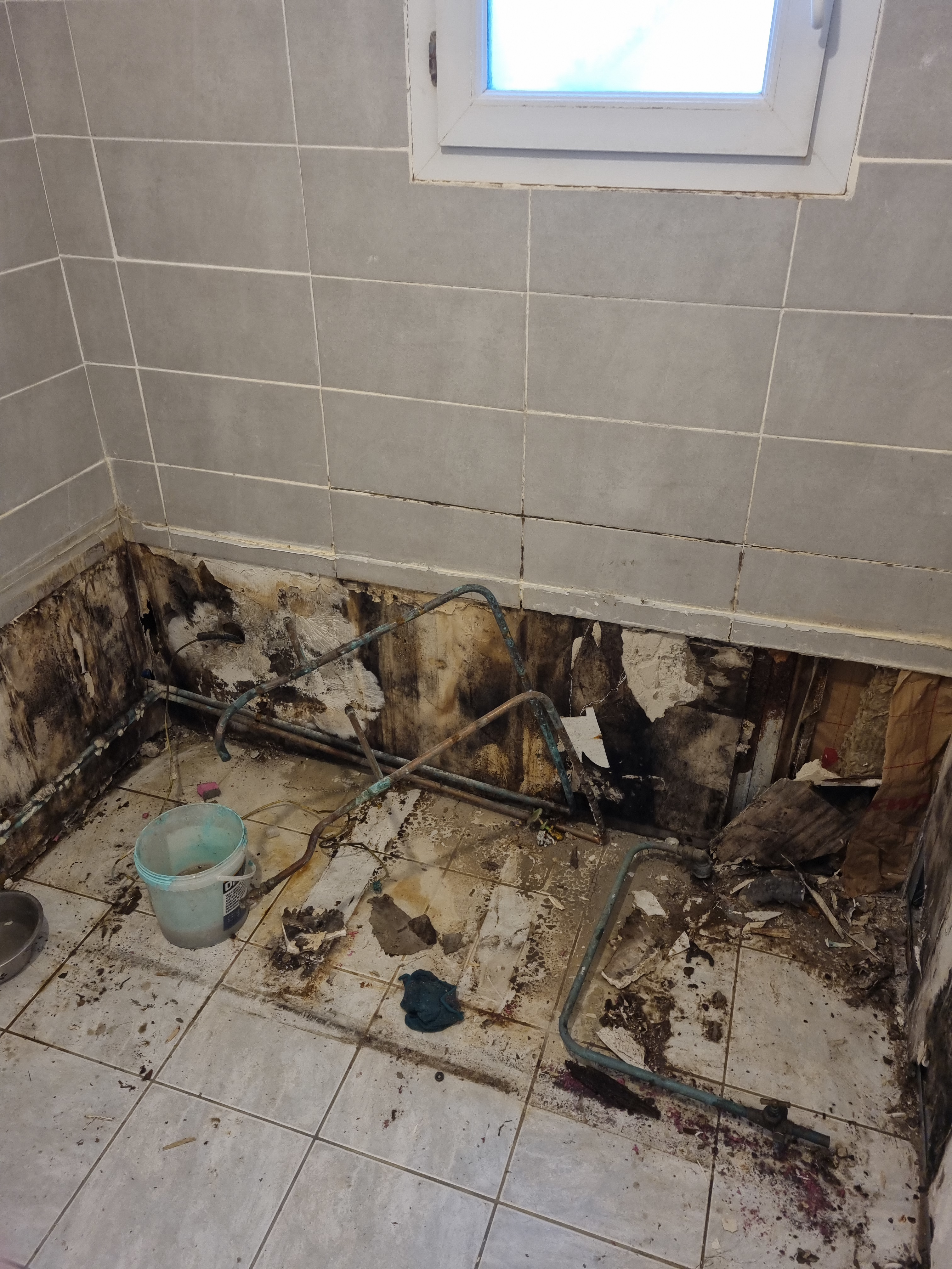 Salle de bain avant rénovation